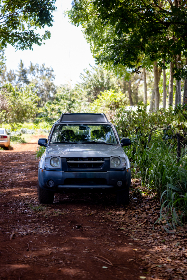 糖心vlog在线观看
